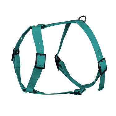 Harnais pour chien Y - Gummy Teal